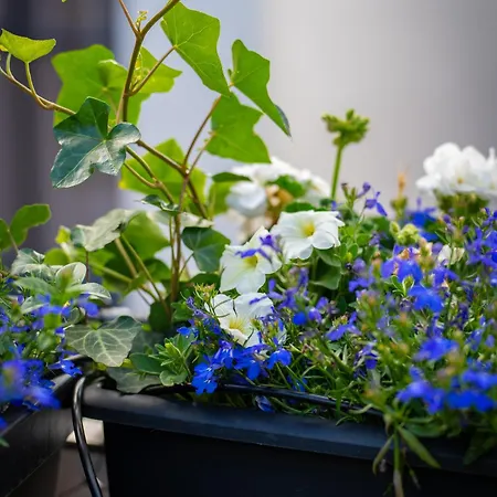 Le Carre D Or Terrasse Vue Cathedrale شقة ستراسبورغ