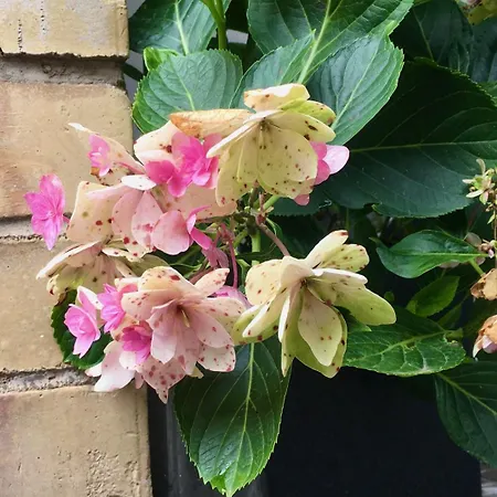 Le Carre D Or Terrasse Vue Cathedrale