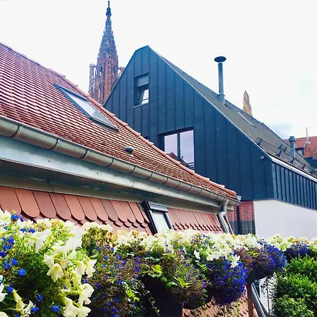 Le Carre D Or Terrasse Vue Cathedrale Appartement