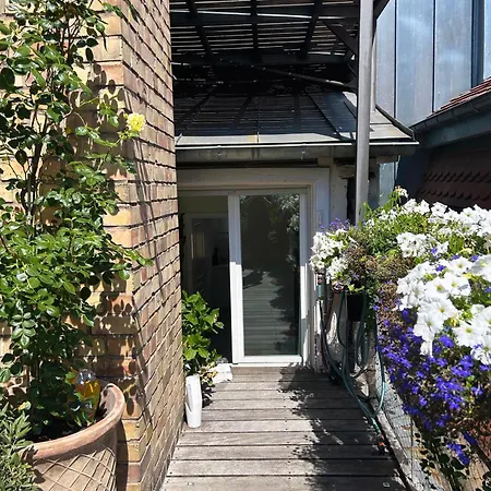 Le Carre D Or Terrasse Vue Cathedrale * Straßburg